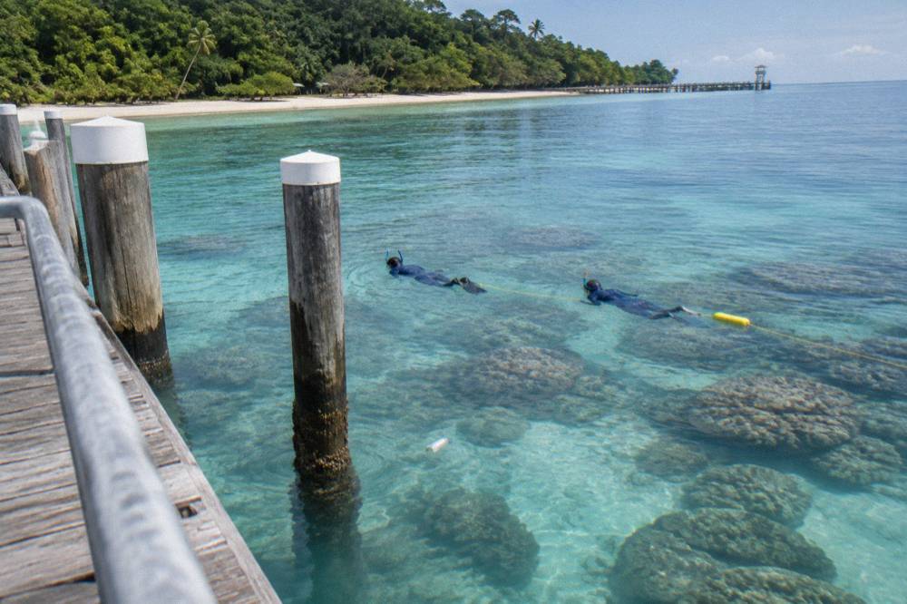 Snorkellers floating above coral bommies in clear shallow reef water near a tropical island beach