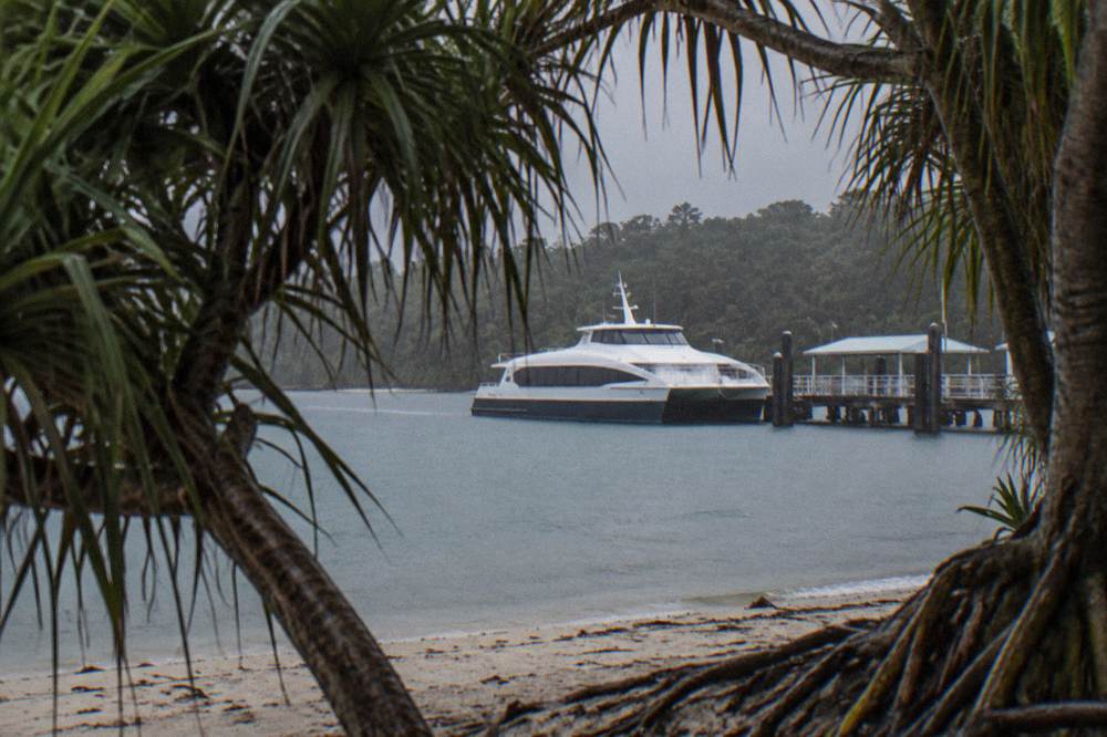 A white fast catamaran moored at a tropical island jetty with rainforest behind the beach