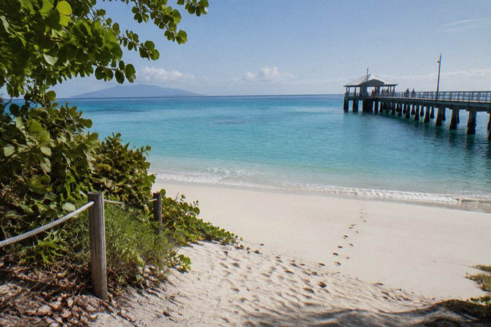 A calm sheltered island beach with a timber jetty extending over clear turquoise water