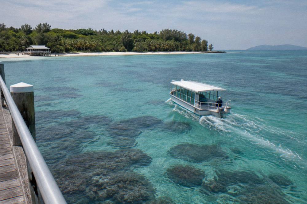 A glass-bottom boat drifting over coral reef in clear water near an island shoreline
