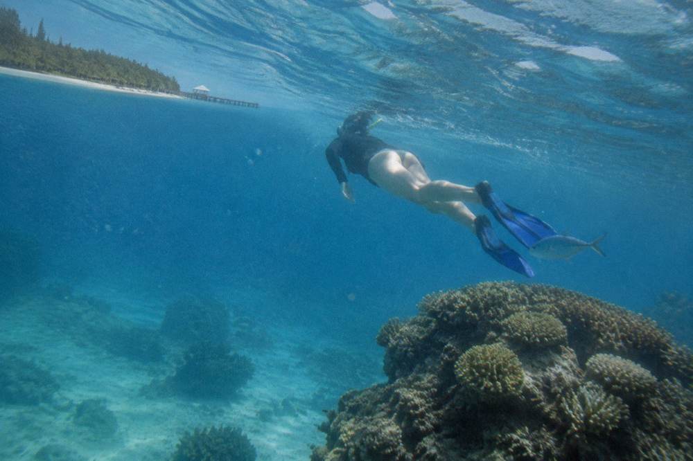 A snorkeller finning over a coral bommie in clear shallow reef water