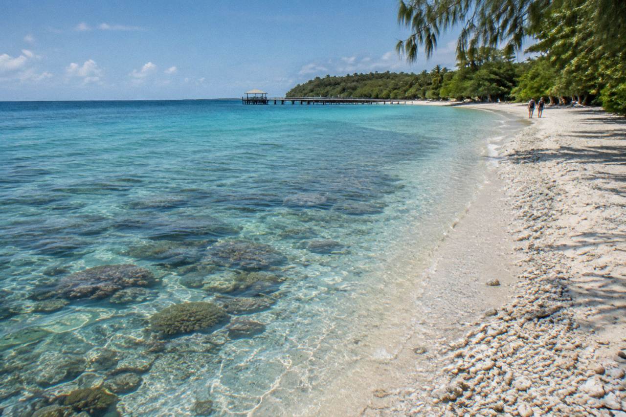 Calm turquoise shallows over coral beside a tropical island beach with a timber jetty in the distance