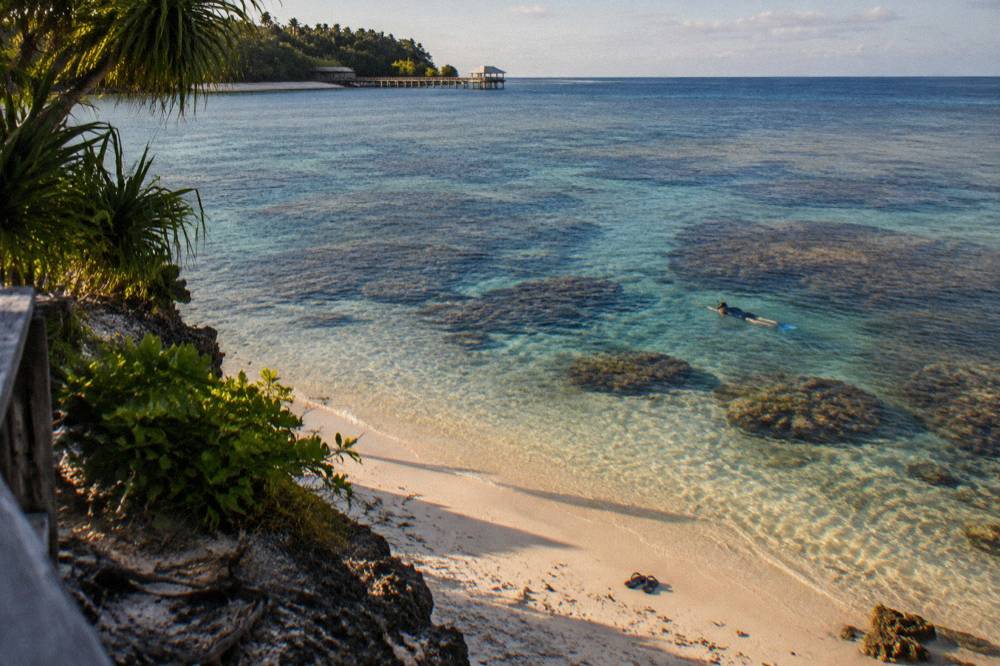 Snorkeller floating above coral bommies in shallow clear reef water