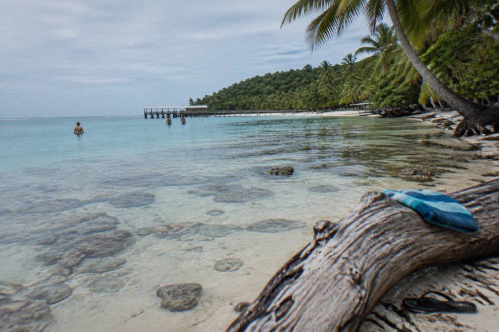 Calm turquoise water over a coral reef flat next to a sandy beach lined with palm trees