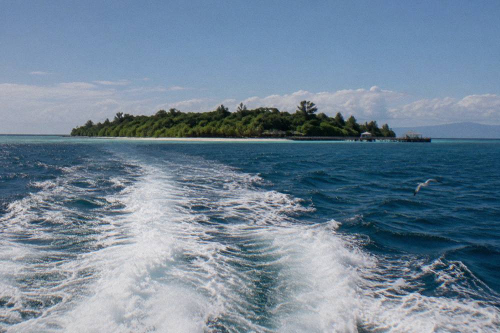 A fast catamaran crossing calm blue water toward a green tree covered island