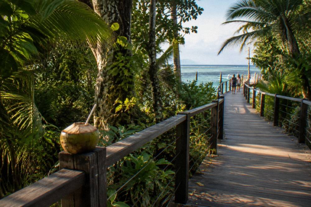 A wooden jetty extending over seagrass beds and turquoise shallow water at a coral cay
