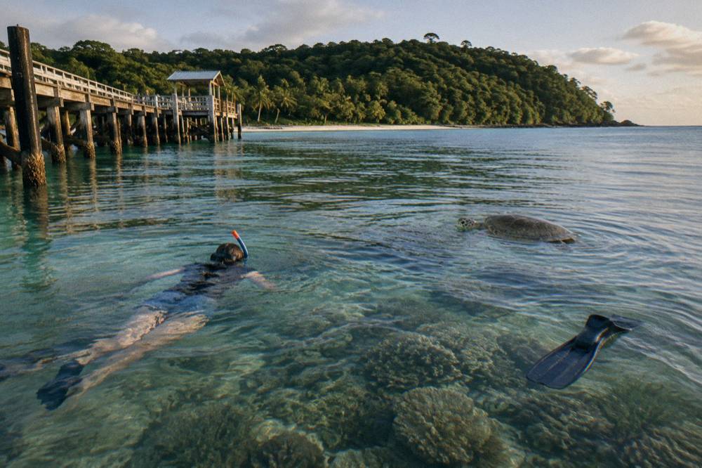 Snorkeller floating over coral and seagrass in clear shallow water beside a tropical island beach