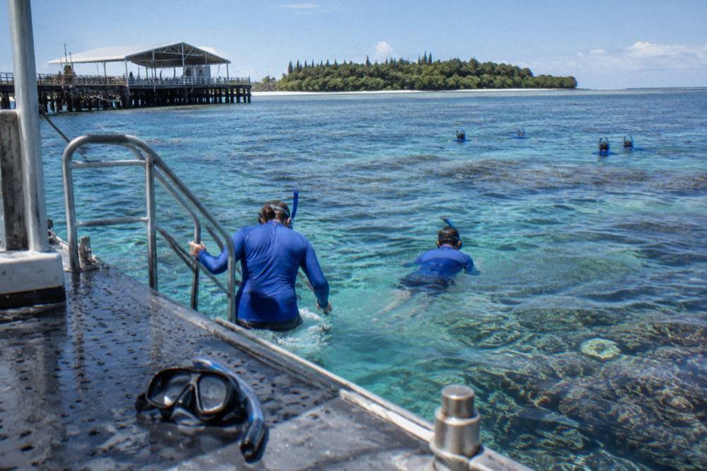 Snorkellers in lycra suits beside a reef pontoon above coral