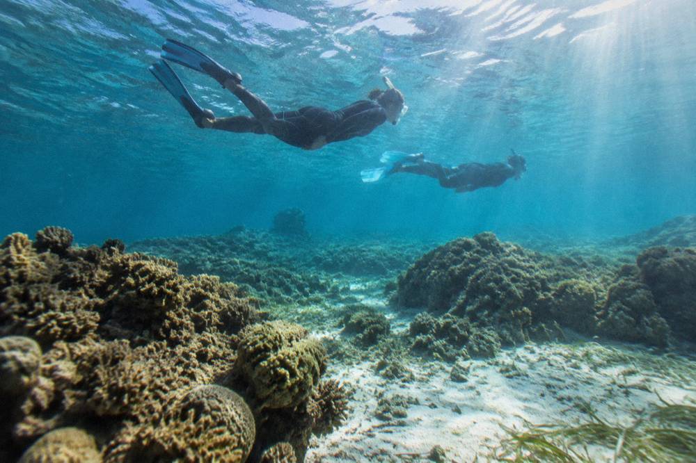 Snorkellers floating over coral bommies in shallow clear water beside a tropical island beach