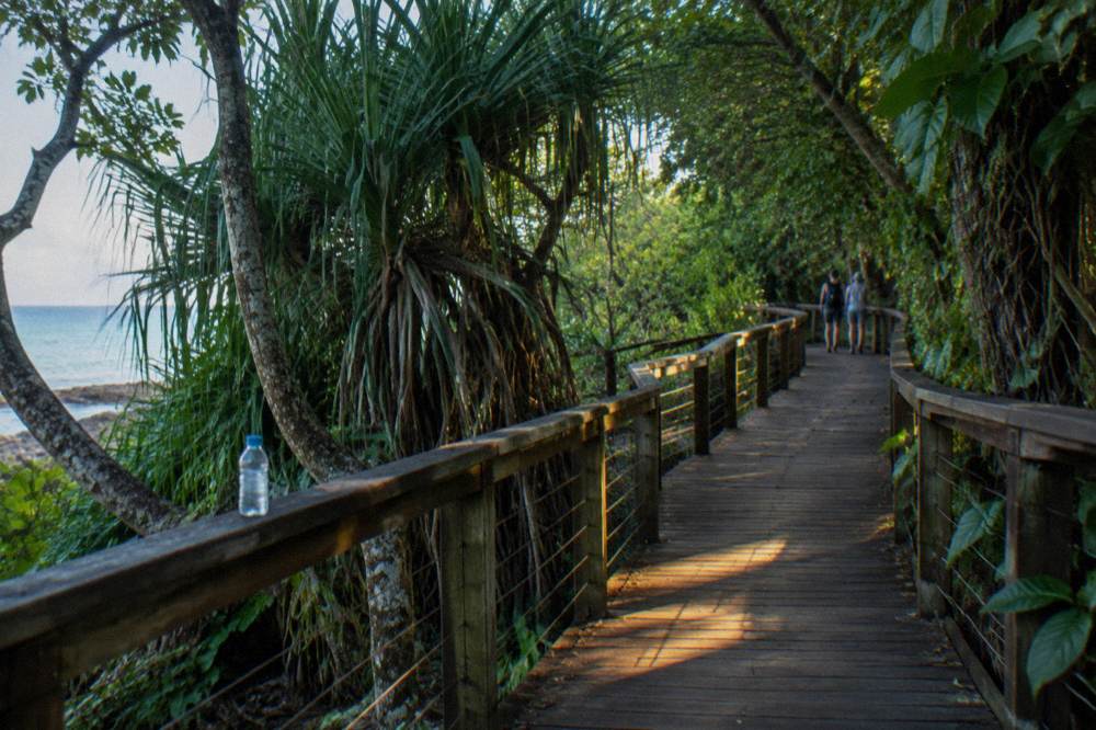A timber boardwalk winding through dense rainforest foliage on a small tropical island
