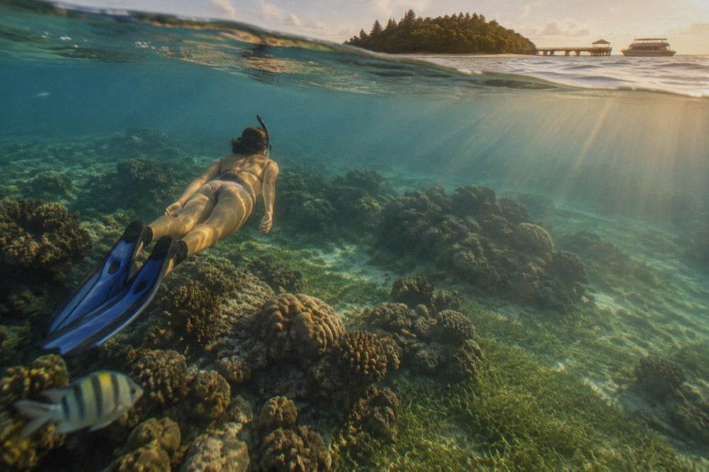 A snorkeller floating above coral bommies and seagrass in clear shallow water