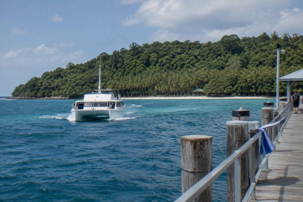 A white catamaran approaching a timber jetty on a small rainforested island in clear blue sea