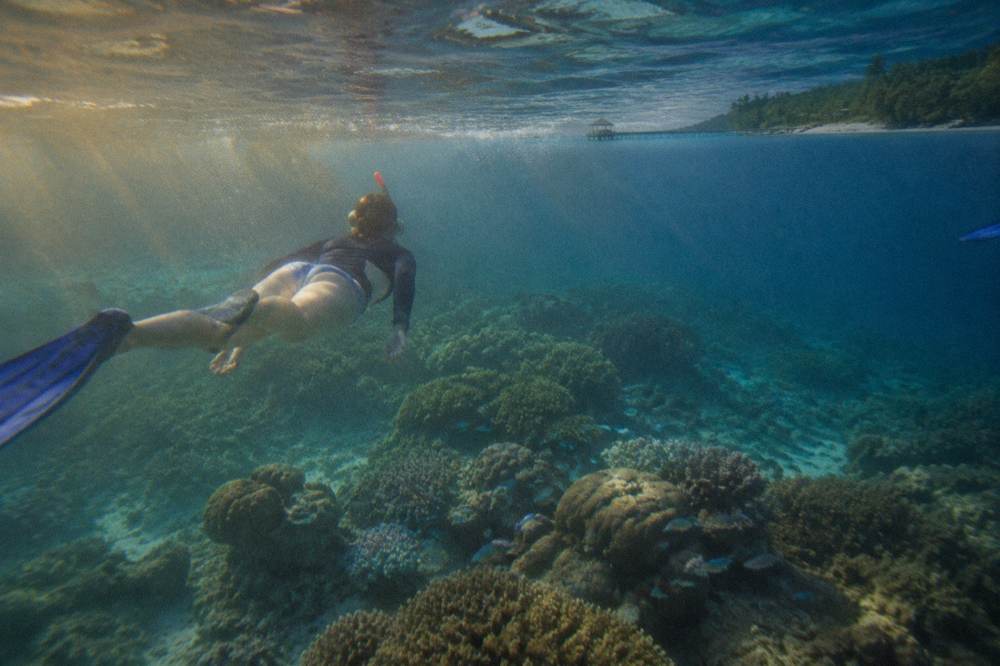 A snorkeller floating above coral bommies and tropical fish in shallow turquoise water
