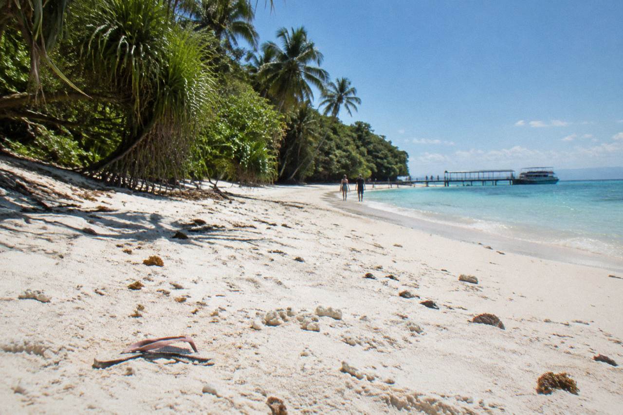 A tropical coral cay with dense rainforest canopy meeting a sandy beach and calm turquoise water