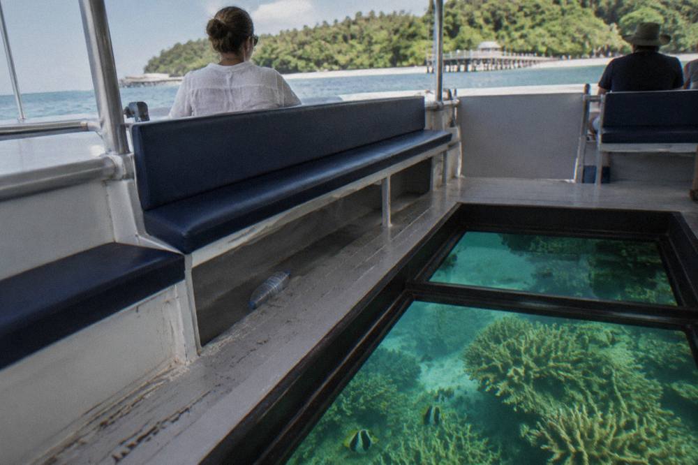 Coral formations and tropical fish visible through the glass floor of a boat
