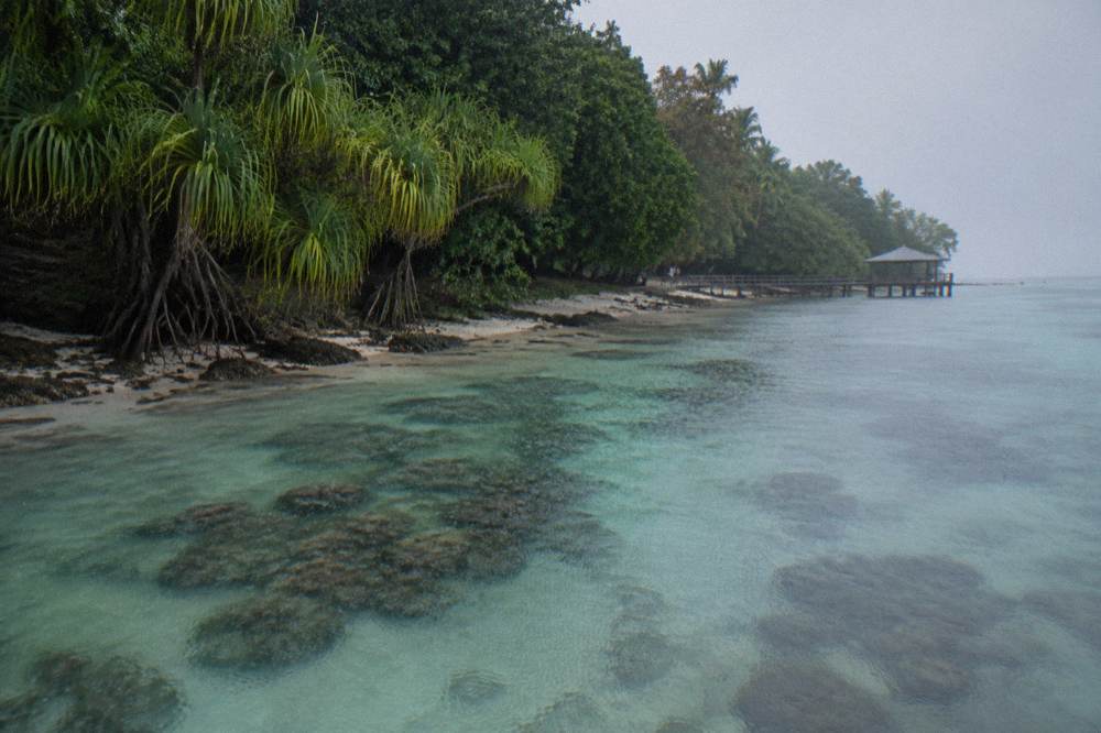 Shallow turquoise water and coral reef along the edge of a rainforest covered island