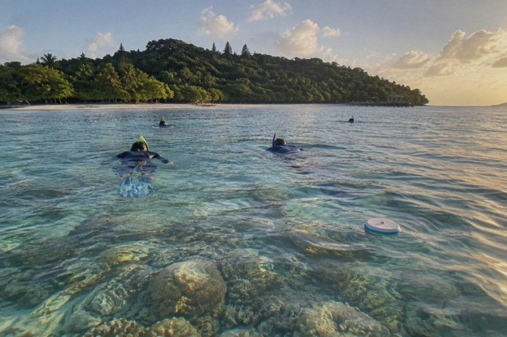 Visitors in lycra stinger suits snorkelling over shallow coral beside a tropical island beach