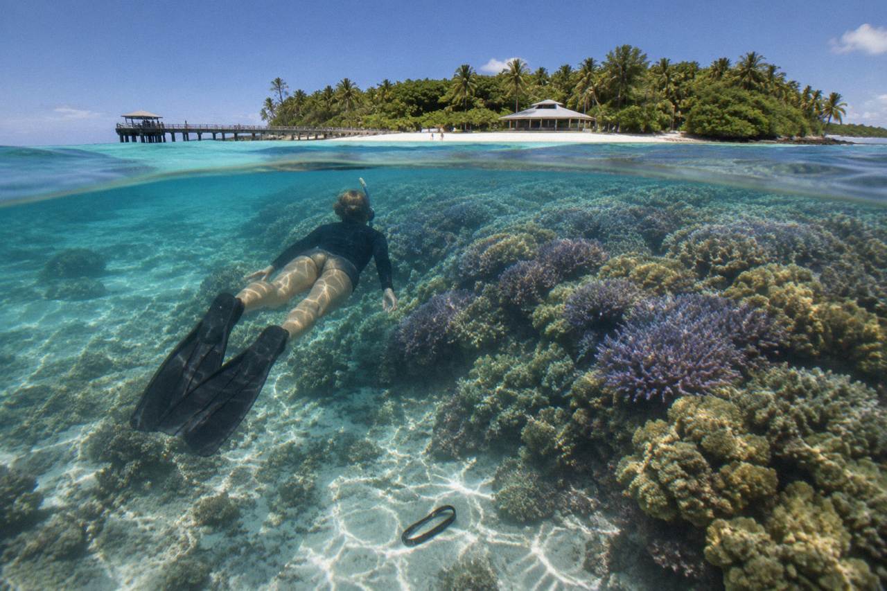 A snorkeller floating above coral in clear turquoise water near Green Island