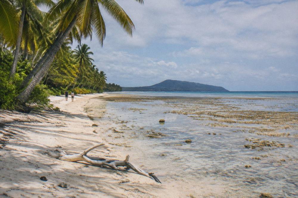 A palm-fringed tropical waterfront under scattered clouds in far north Queensland