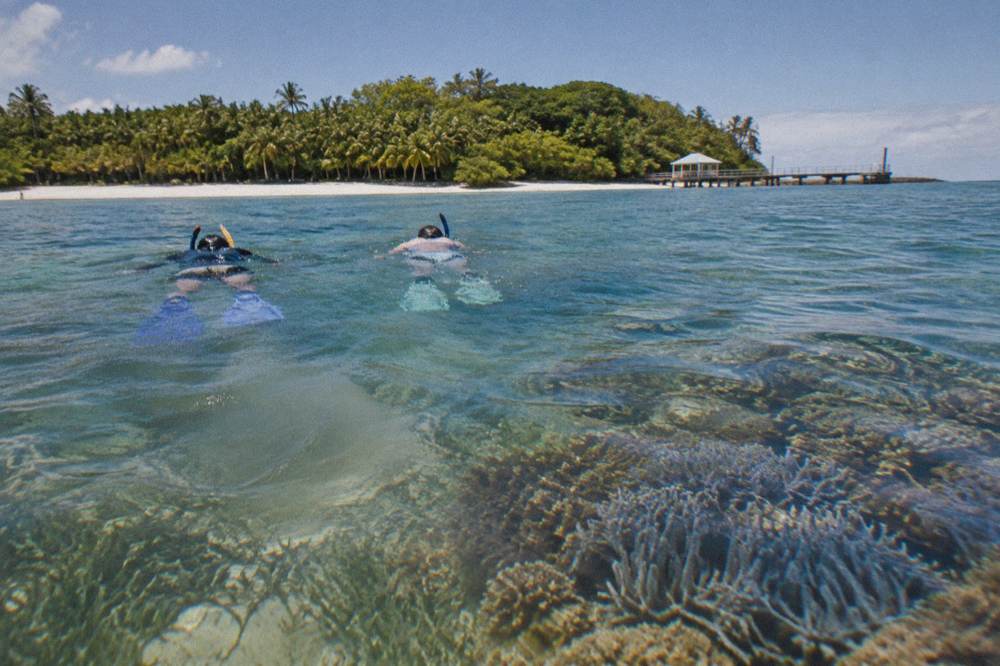 Snorkellers floating over shallow coral and seagrass beside a tropical island beach