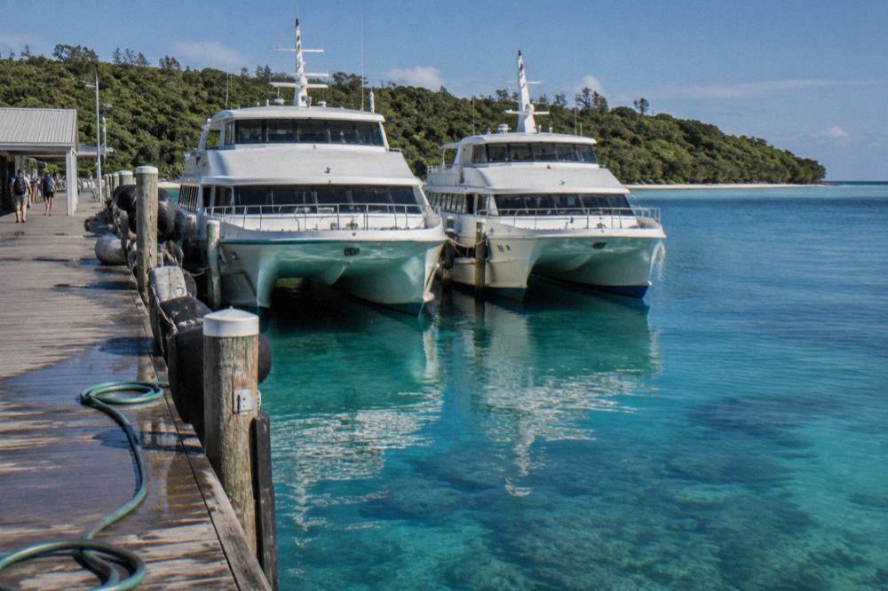 Two passenger ferries tied side by side at a marina wharf in morning light
