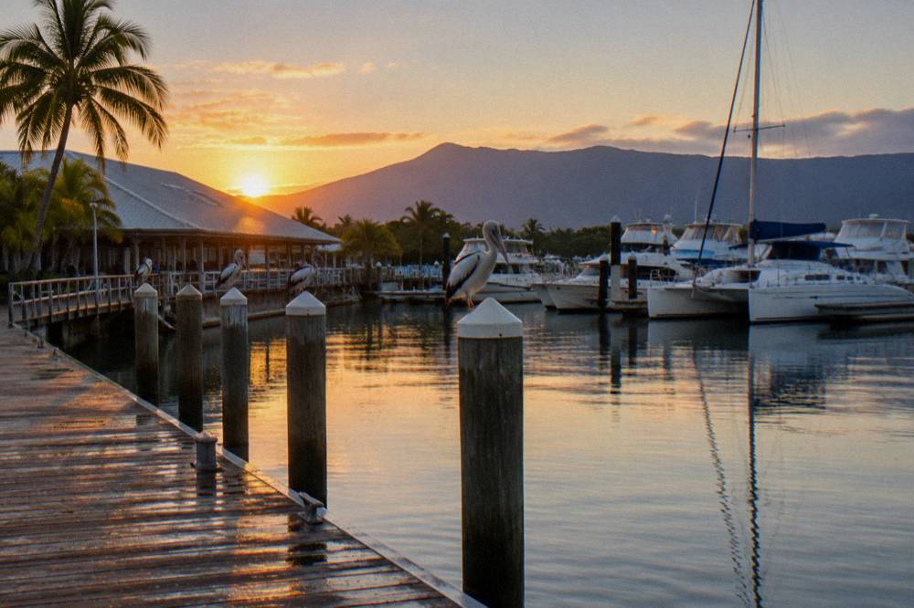 A timber marina wharf with moored boats and a terminal building at sunrise
