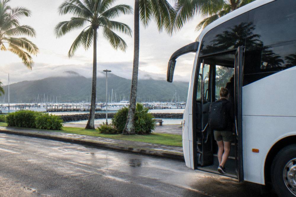 A resort coach bus parked on a palm-lined street collecting day-trip passengers