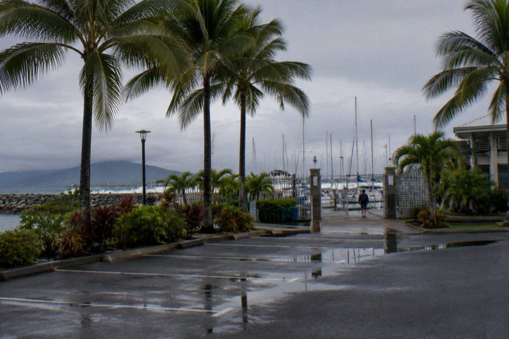 A waterfront car park with palm trees and a marina entrance beyond it