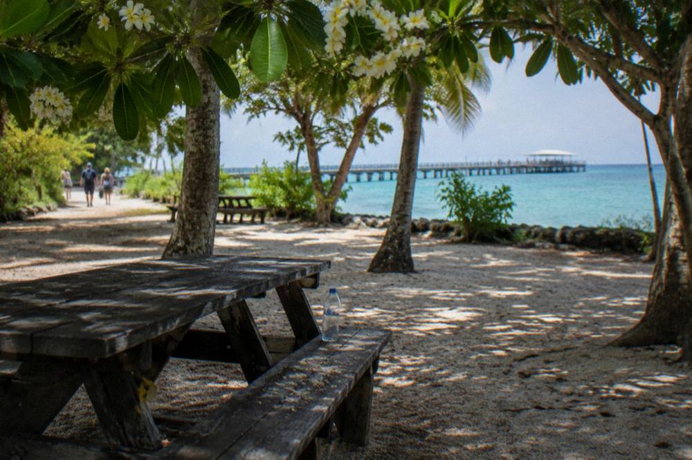 Shaded picnic tables under trees beside a sandy path