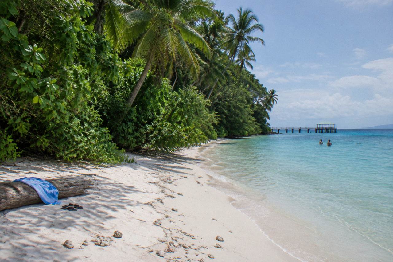 Sandy beach and turquoise water fringing a small rainforest covered coral cay