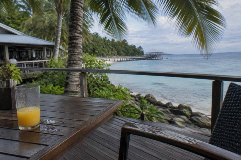 A shaded table setting beside palm trees looking over calm island water