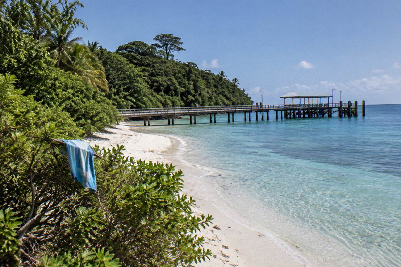 A sandy coral cay with dense rainforest and a jetty reaching into clear turquoise water