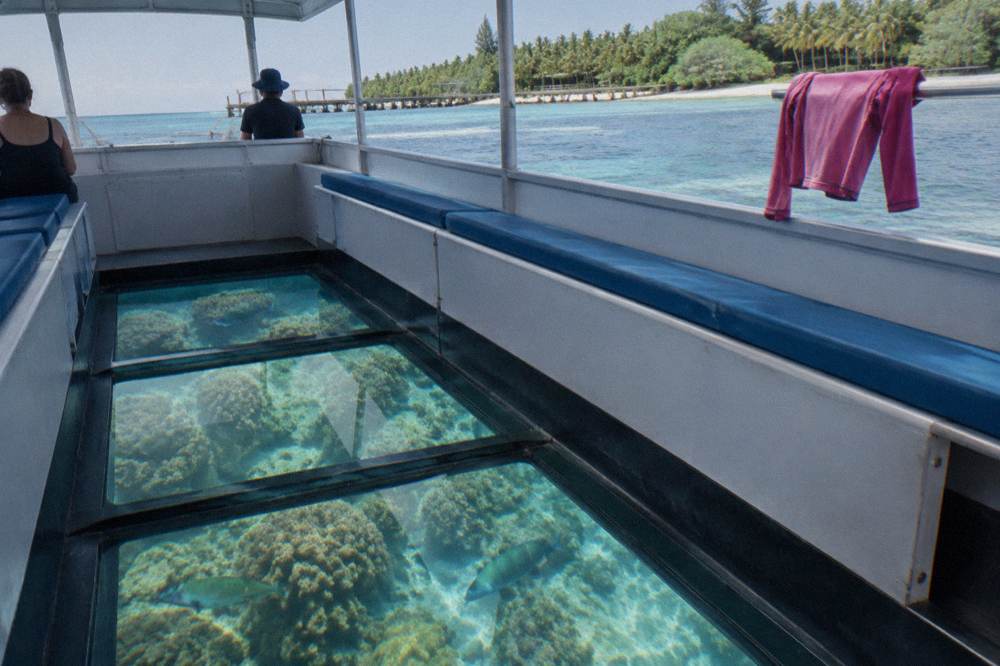 Glass-bottom boat drifting over coral reef with tropical fish visible through the hull