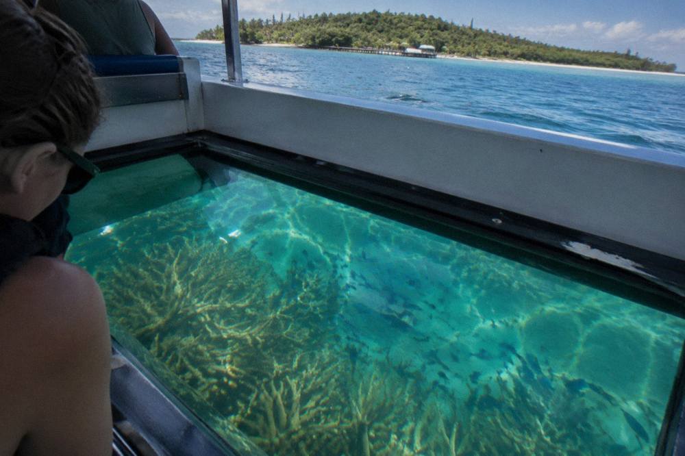 View through a glass viewing panel showing coral and fish below a boat