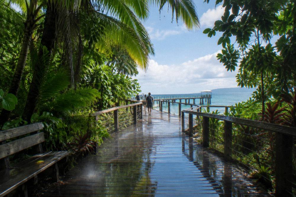 Boardwalk and jetty area of a small rainforest island under a clearing tropical sky