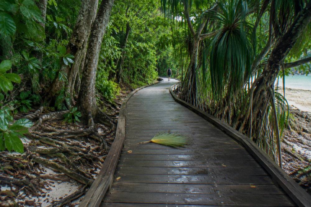 A wooden boardwalk curving through dense rainforest foliage on a small tropical island