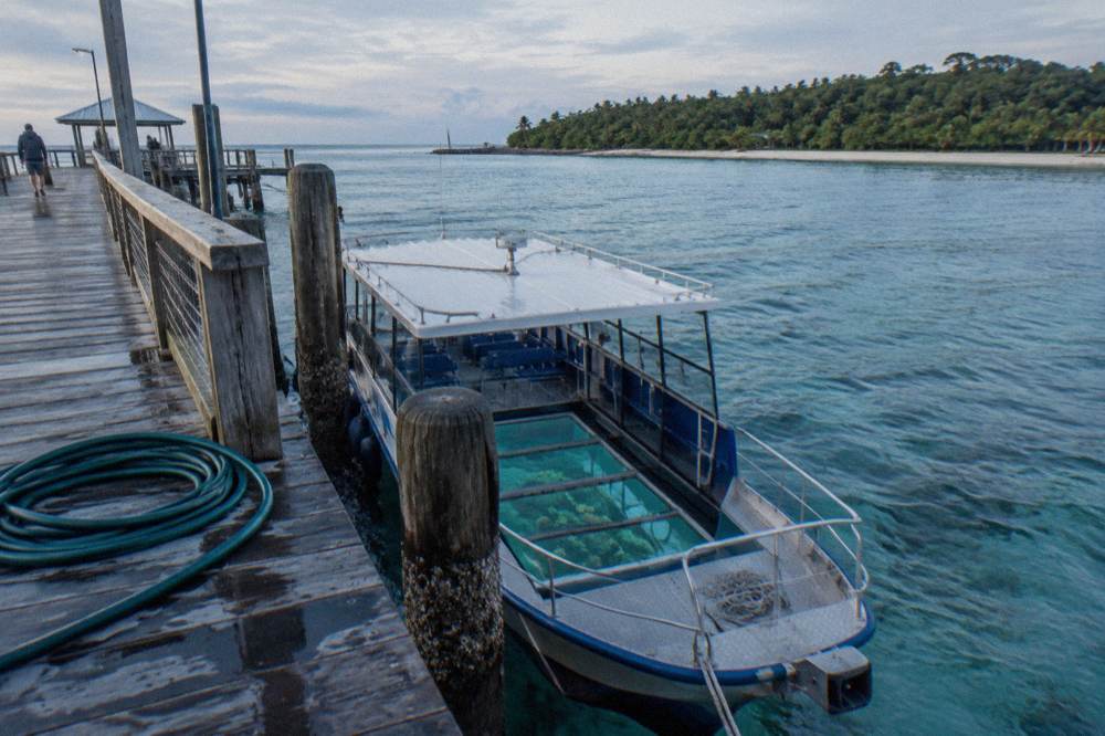 A glass-bottom boat drifting over coral reef visible through the hull viewing panels