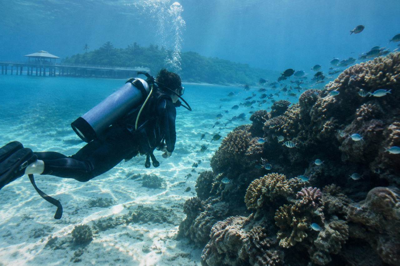A diver underwater beside a coral bommie in clear tropical water