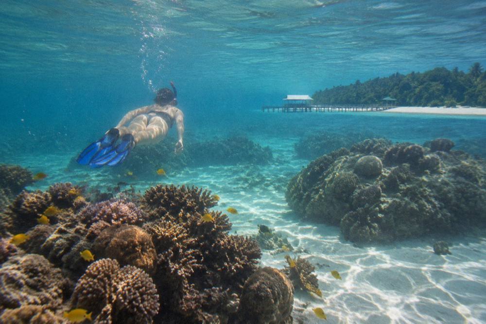 A snorkeller floating above coral bommies and tropical fish in clear shallow reef water