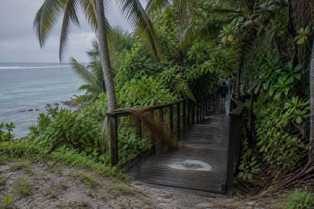 A timber boardwalk path curving through dense green rainforest foliage on a small tropical island