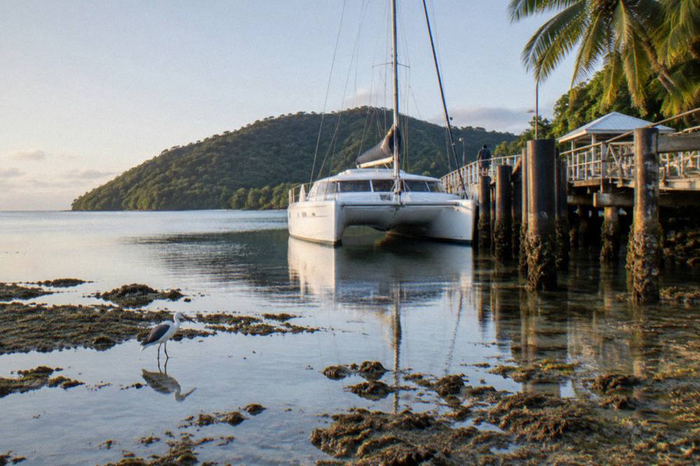A white catamaran ferry moored at a tropical island jetty with palm trees and clear water