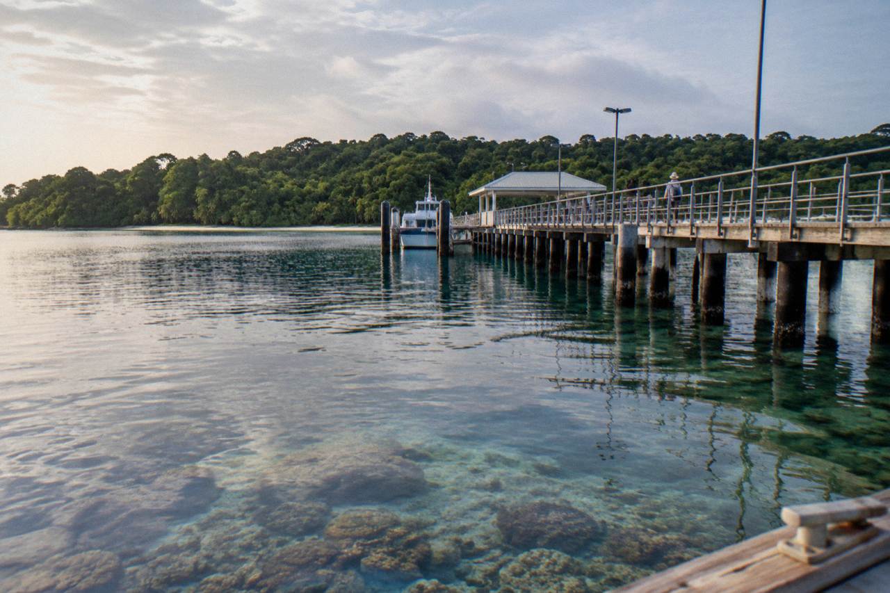 A wooden jetty extending over clear shallow water above coral reef with a small rainforested island in the distance