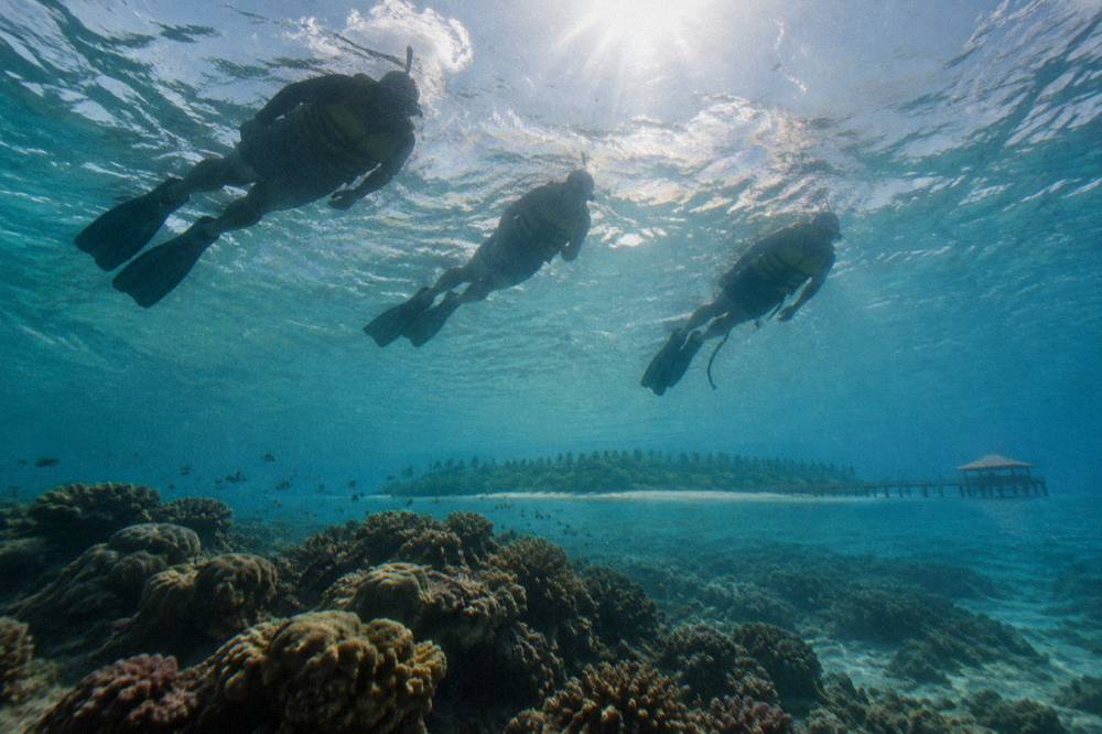 Snorkellers in the water above a coral bommie beside a tropical island beach