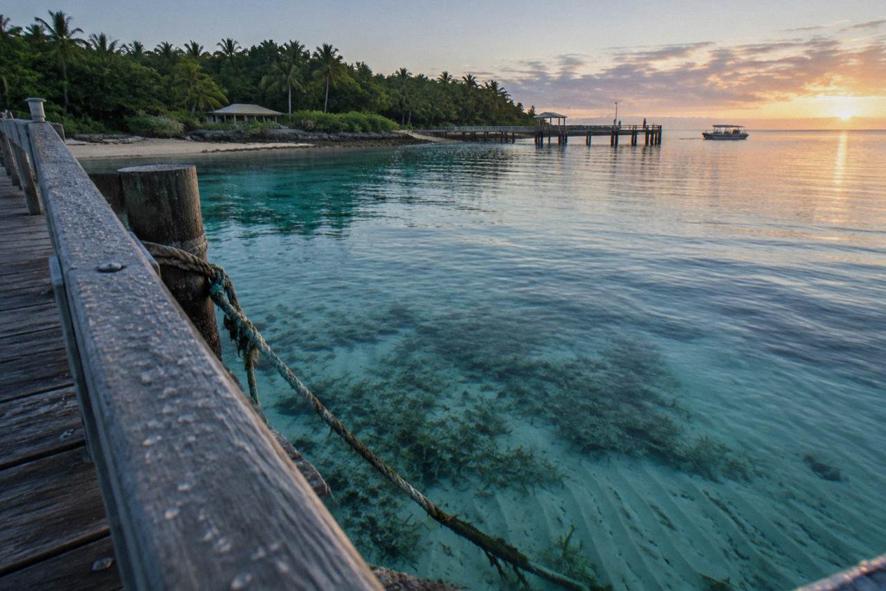 Shallow turquoise water over seagrass beds beside a timber jetty at a tropical island