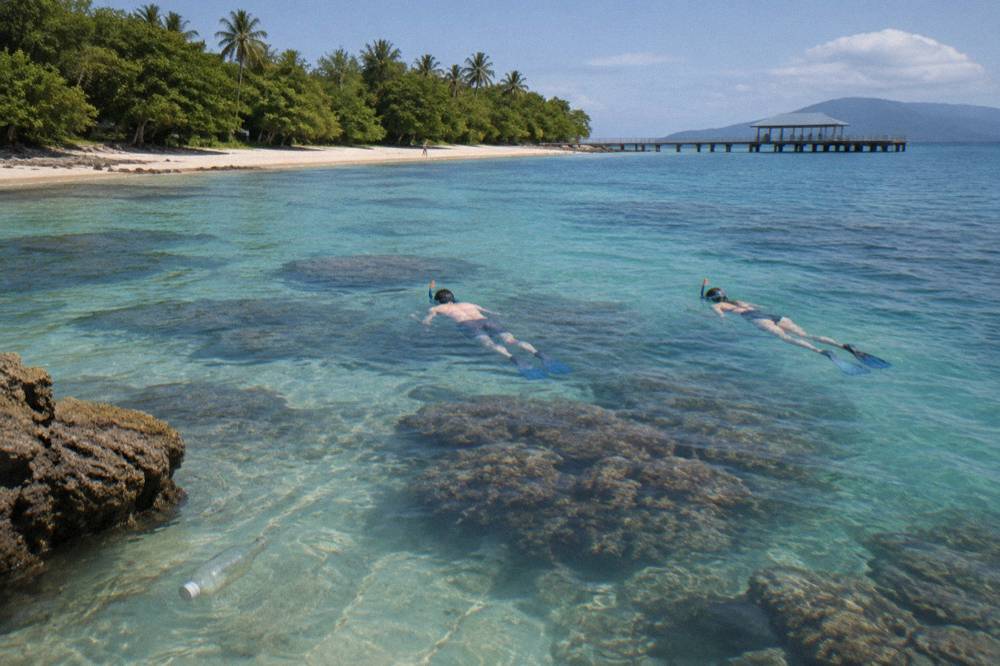 Snorkellers floating above coral bommies in calm turquoise water near a sandy beach