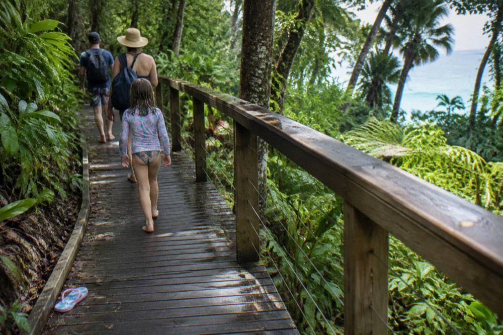 A family walking a timber boardwalk through dense rainforest on a small tropical island