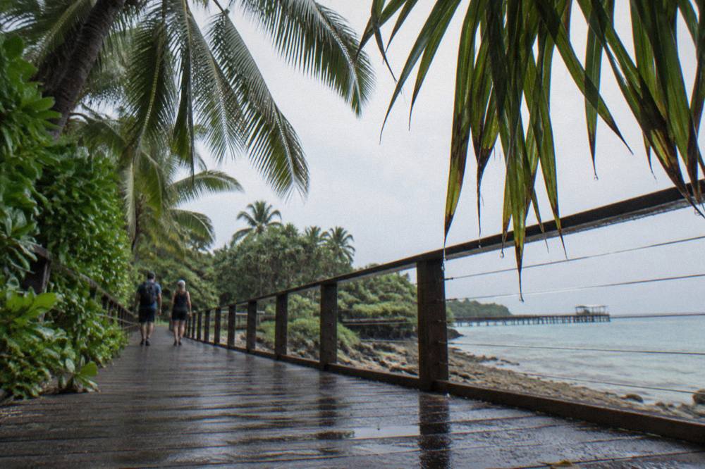 Palm fronds overhanging a wooden boardwalk through Green Island rainforest
