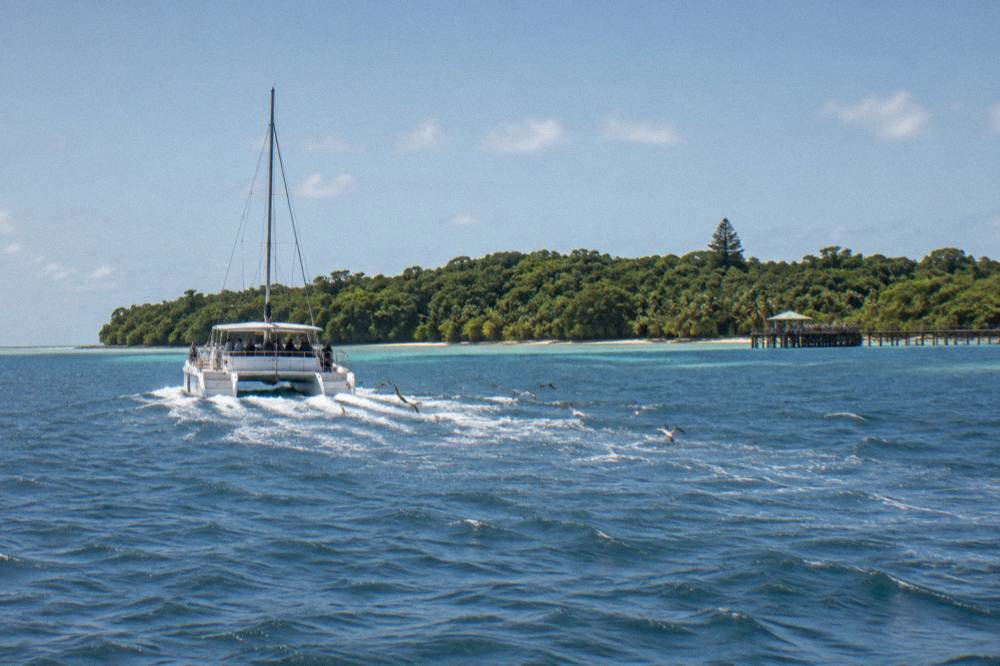 Catamaran approaching Green Island across calm open water under a blue sky