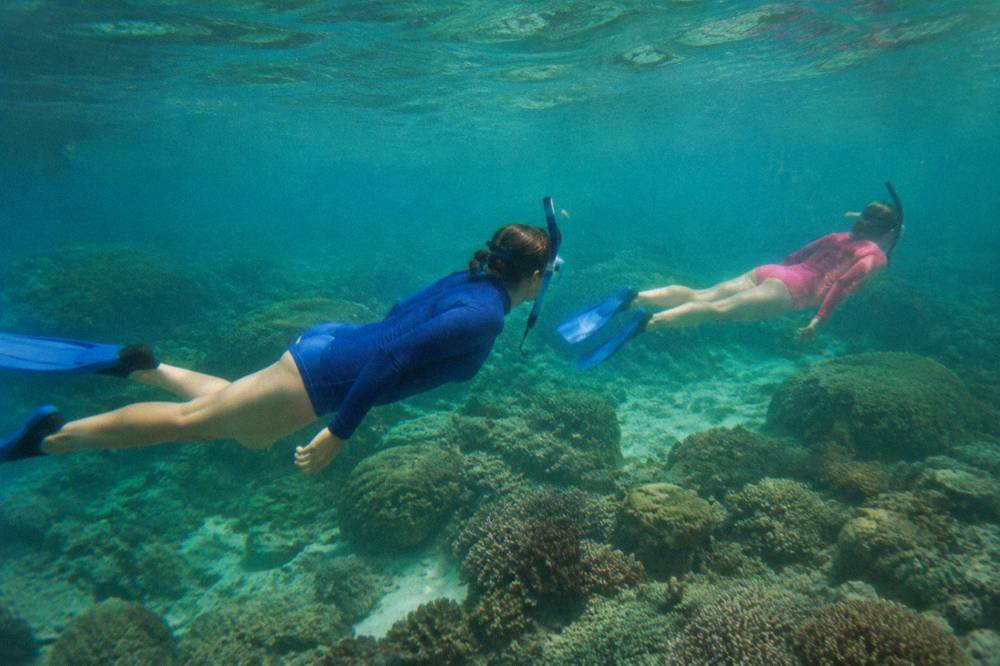 Snorkellers in lycra stinger suits swimming over a shallow coral reef