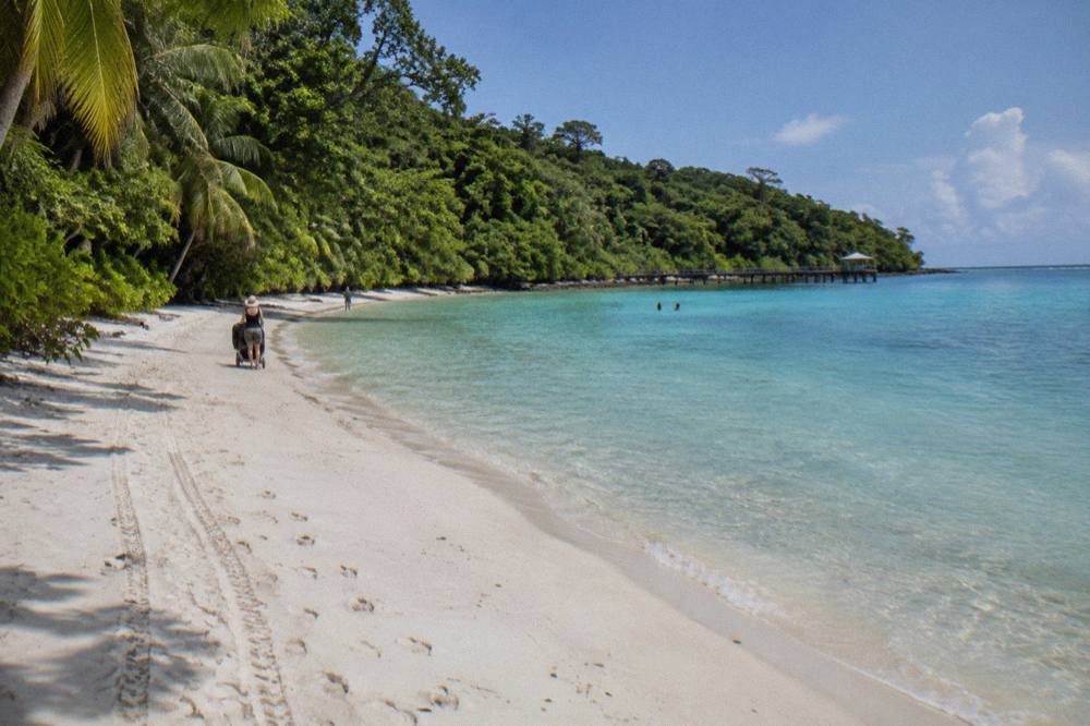 A wide sandy beach with calm shallow turquoise water and dense green rainforest behind it